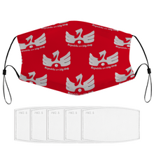 Load image into Gallery viewer, R.O.H.H phoenix lava red Face Cover Children Dust Proof Face Cover with Multi-piece Filters