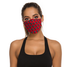 Load image into Gallery viewer, Mazzed out DD Lava red Face Cover Dust Proof Face Cover with Filter Element, Multiple Spare Filter Cartridges