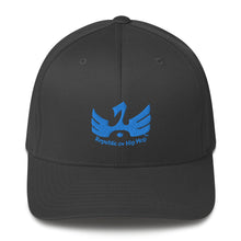 Load image into Gallery viewer, R.o.H.H Blue 720th phoenix Structured Twill Cap