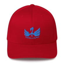 Load image into Gallery viewer, R.o.H.H Blue 720th phoenix Structured Twill Cap