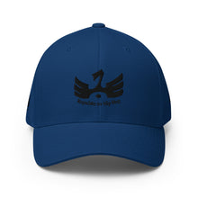 Load image into Gallery viewer, R.O.H.H Ebony Phoenix Structured Twill Cap