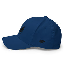 Load image into Gallery viewer, R.O.H.H Ebony Phoenix Structured Twill Cap