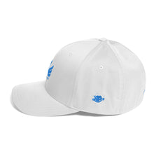 Load image into Gallery viewer, R.o.H.H Blue 720th phoenix Structured Twill Cap
